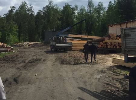Невьянская городская прокуратура выявила значительные нарушения при межевании земельного участка вблизи озера «Красилово»